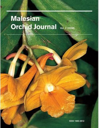 Malesian Orchid Journal Vol 2 (2008) - Jeffrey J. Wood (ed)