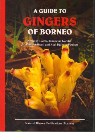 A Guide to the Gingers of Borneo - Anthony Lamb, Januarius Gobilik, Marina Ardiyani & Axel Dalberg Poulsen