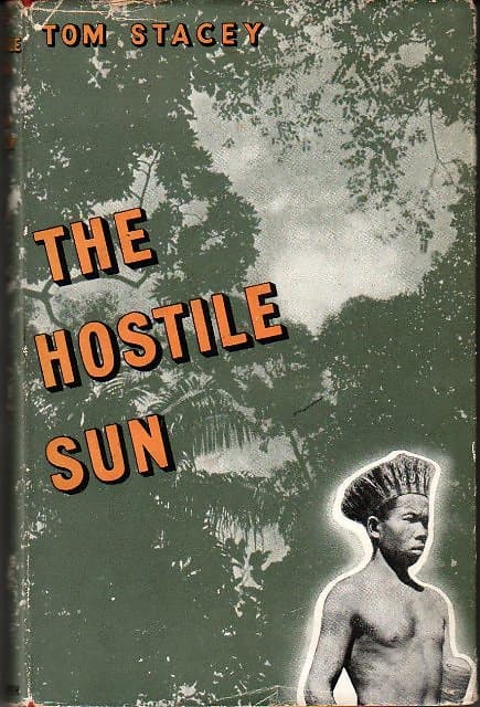 The Hostile Sun  - Tom Stacey