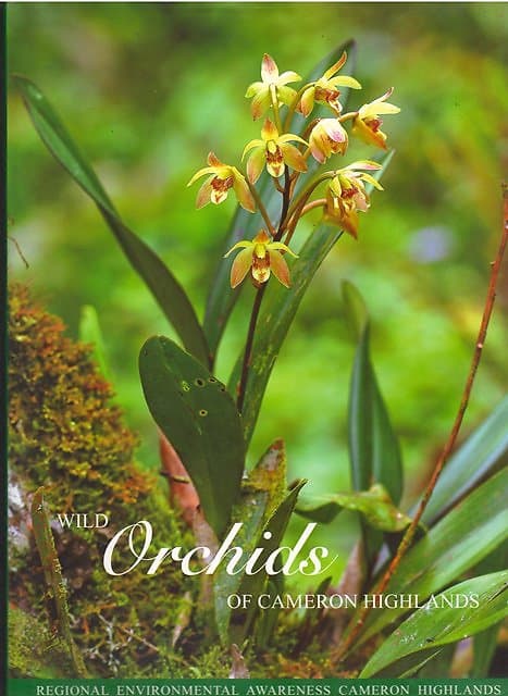 Wild Orchids of Cameron Highlands - Cheam May Choo & Others