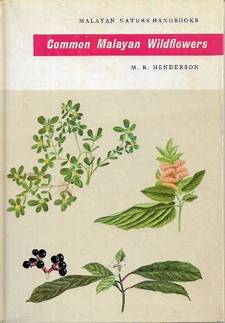 Common Malayan Wildflowers - MR Henderson