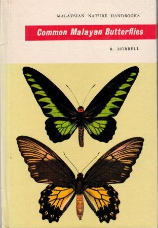 Common Malayan Butterflies - R Morrell