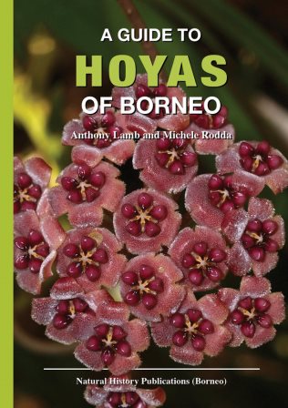 A Guide to the Hoyas of Borneo - Anthony Lamb & Michele Rodda