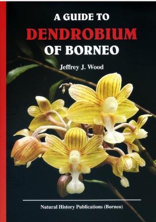 A Guide to the Dendrobium of Borneo - Jeffrey J. Wood
