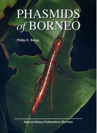 Phasmids of Borneo - Philip E Bragg