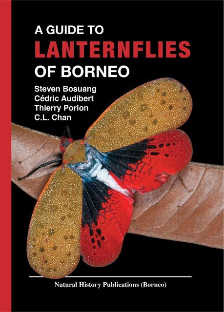 A Guide to Lanternflies of Borneo -Steven Bosuang, Cédric Audibert, Thierry Porion & C.L. Chan
