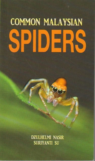 Common Malaysian Spiders - Dzulhelmi Nasir & Suriyanti Su