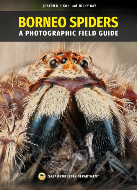 Borneo Spiders: A Photographic Field Guide - Joseph KH Koh & Nicky Bay