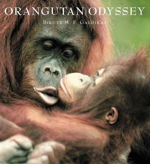 Orangutan Odyssey - Birute MF Galdikas and Nancy Briggs