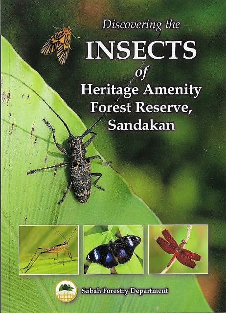 Discovering the Insects of Heritage Amenity Forest Reserve, Sandakan - Arthur YC Chung