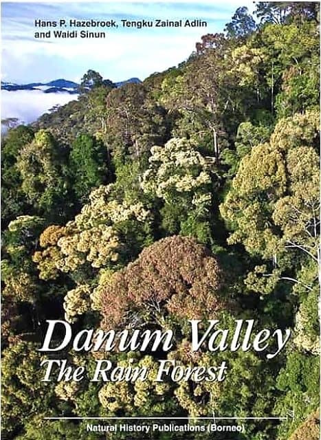 Danum Valley: The Rain Forest - Hans P. Hazebroek, Tengku Zainal Adlin, Waidi Sinun