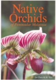 Native Orchids of Peninsular Malaysia - Chris K. H. Teo