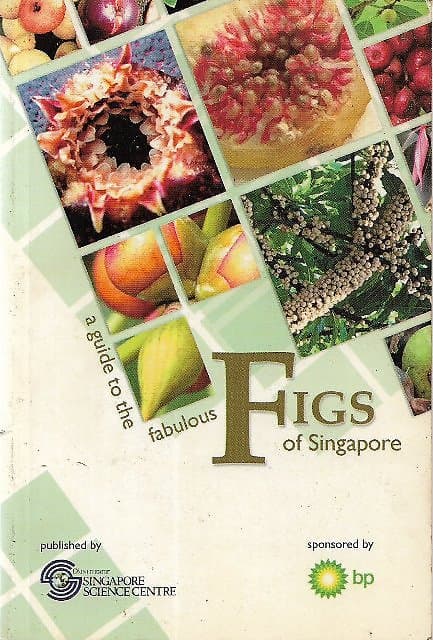 A Guide to the Fabulous Figs of Singapore - Angie Ng & Others