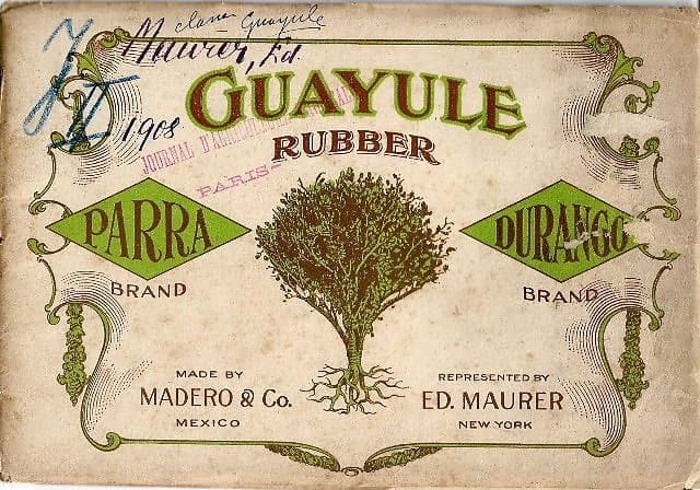 Guayule Rubber - Ed Maurer