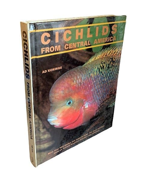 Cichlids from Central America - AD Konings