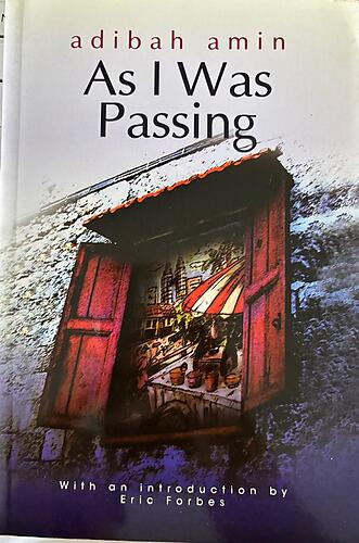 As I Was Passing - Abidah Amin